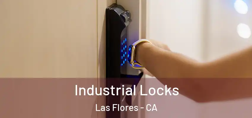  Industrial Locks Las Flores - CA